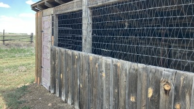 Chicken Coop