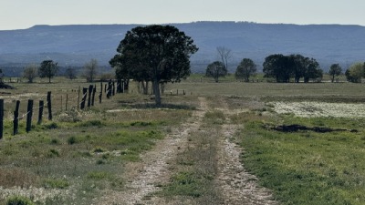 Road 