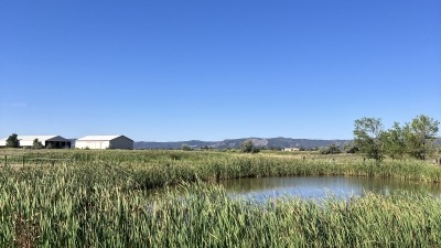 Pond for water storage