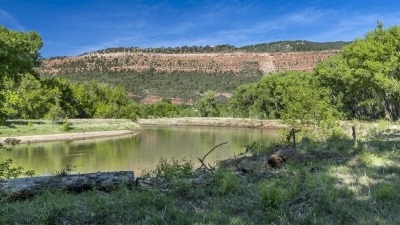 View of Animas River from property in summer, looking North