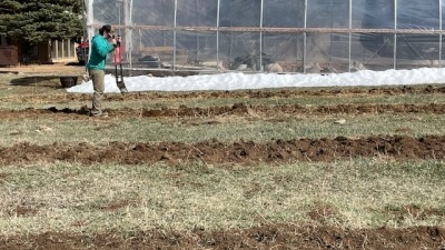 Garden beds