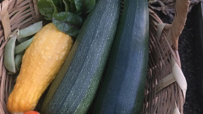 A basket of veggies
