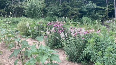 gardens