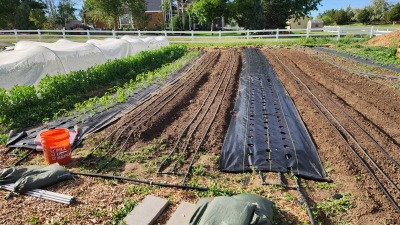 Prepping new beds for planting