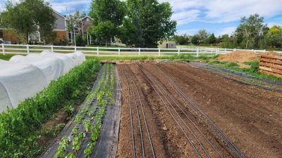 Another view of some of the growing beds