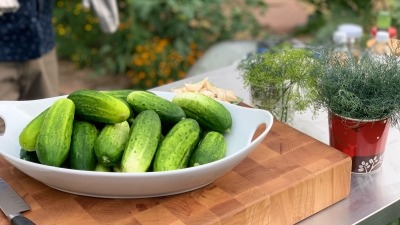 Prepping station for 2021 live demonstration on how to make pickles for my TV show: The Choice City Cucina.