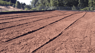 Ground work