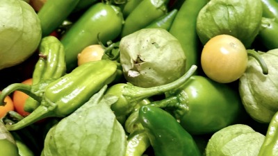 Harvest of tomatillos and shishito and jalapeño peppers.