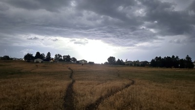 When horses make their own trail 