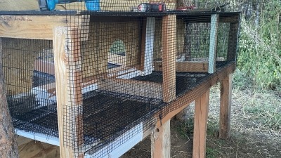 inside preview of animal shed.