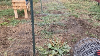 Putting up fencing for 3,500 sqft + chicken pasture.