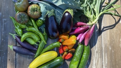Food share.