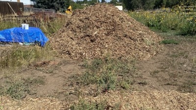 With local community arborist partners, mulch drops are essentail part of feeding soil microbes, helping with muddy/erison areas on the farm, a weed suffocator, creates nice pathways between beds and to and from animal enclosures, wind barriers, bed mulching for fruits trees and dormant beds.