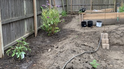 Part of the landscaping project of the urban backyard, building raised beds and a sunken garden, all integrating pollinator flowers and herbs, vegetables in the raised beds.