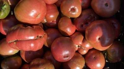 Growing tomatoes are in my top 10 cash crops.