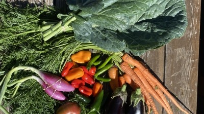 Food Share.