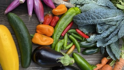 Food Share.