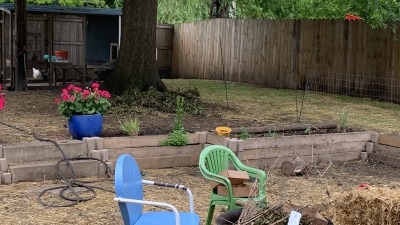 The sunken garden/drainage feature I built to manage water inundation into the house, planted with flowers and herbs.
