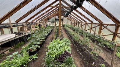 The greenhouse