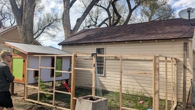 Wild Wiggins Homestead chicken run - after