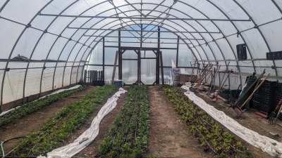 The high tunnel at Friends Farm