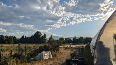 Friends Farm