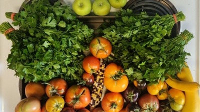 Garden harvest