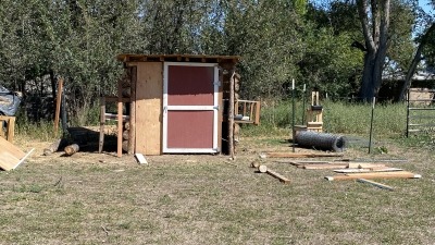 I designed and built my own animal shed with all recycled materials minus the fencing and tin roof.