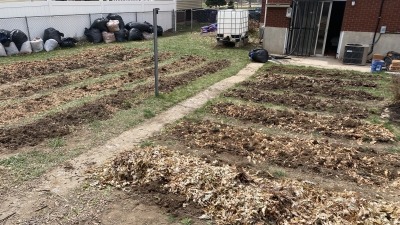 Transforming a mono crop backyard lawn into abundant backyard farm