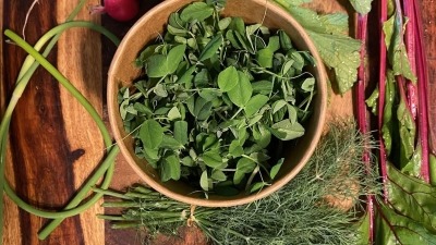Spring CSA contents utilizing microgreens production.