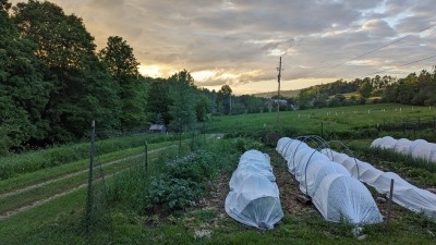 Season extension and mechanical (non-chemical) insect control examples