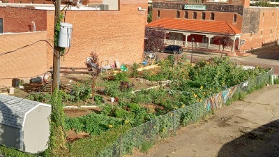 Community garden work