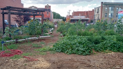 Community garden work