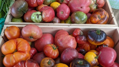 Tomato display at market.