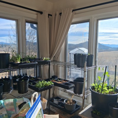 East/ south windows 