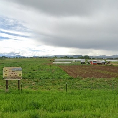 View of the property from timberline road