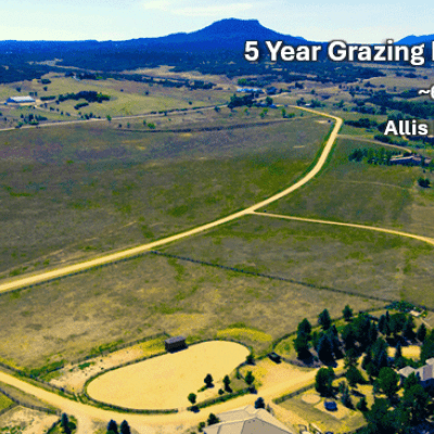 Facing SE, view of eastern meadow/pasture