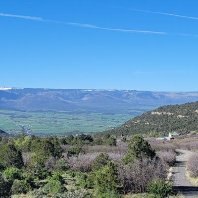 View of the farm looking south