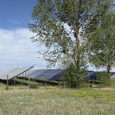 fixed tilt solar array in foreground among trees and vegetation