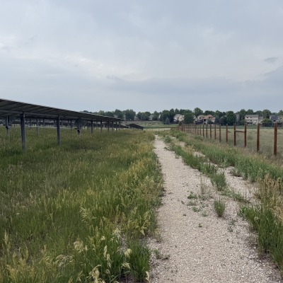 A gravel access road lined by solar panels and green lush vegetation. 