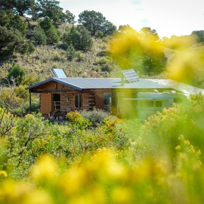View of cabin through native plants