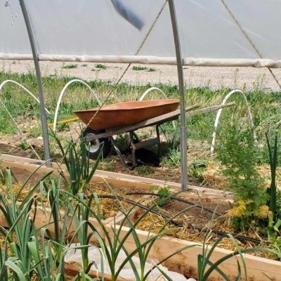 Greenhouse