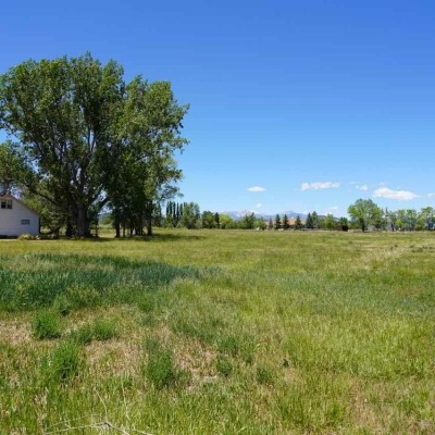 View of field and house